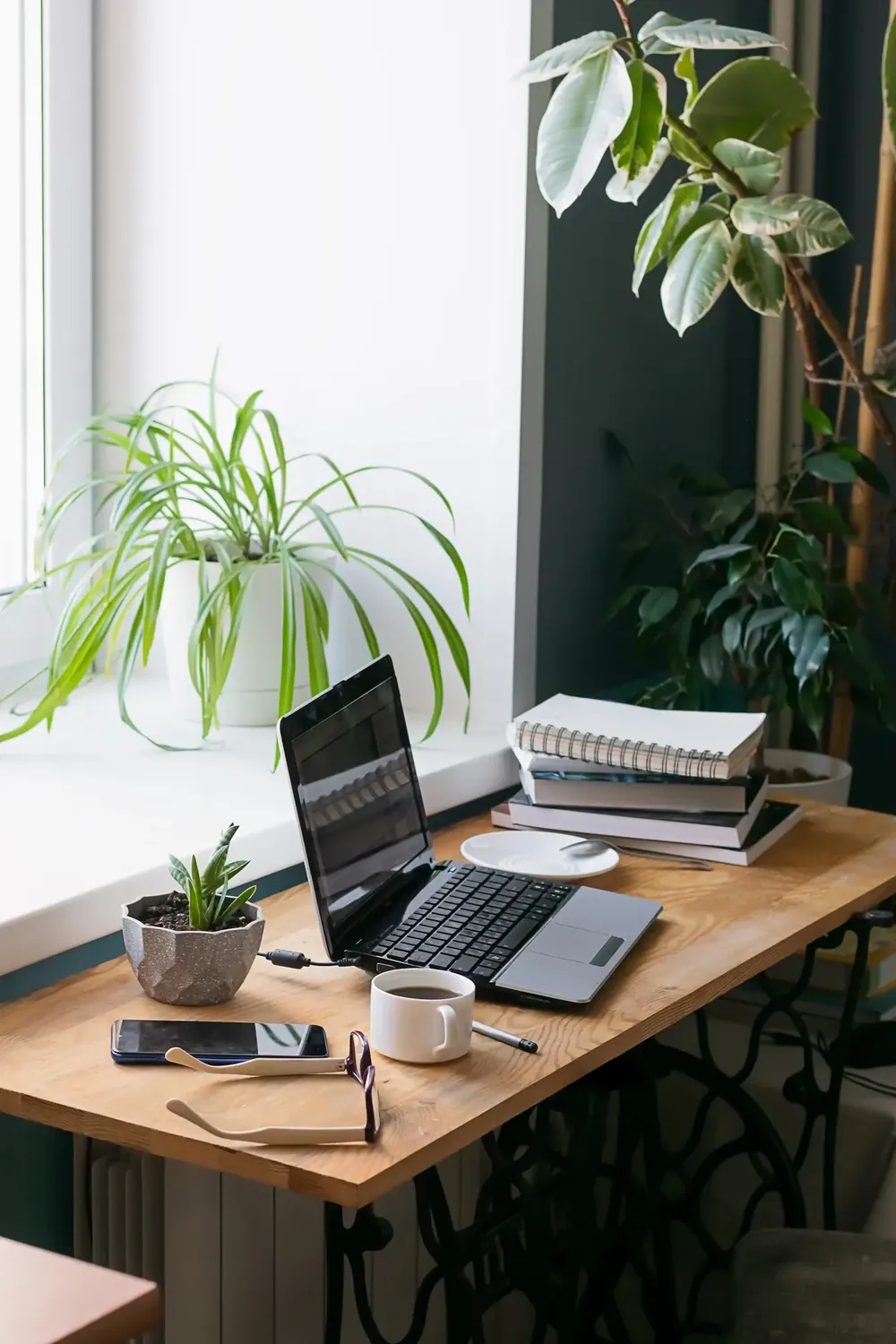 Analytics and SEO dashboard on a laptop