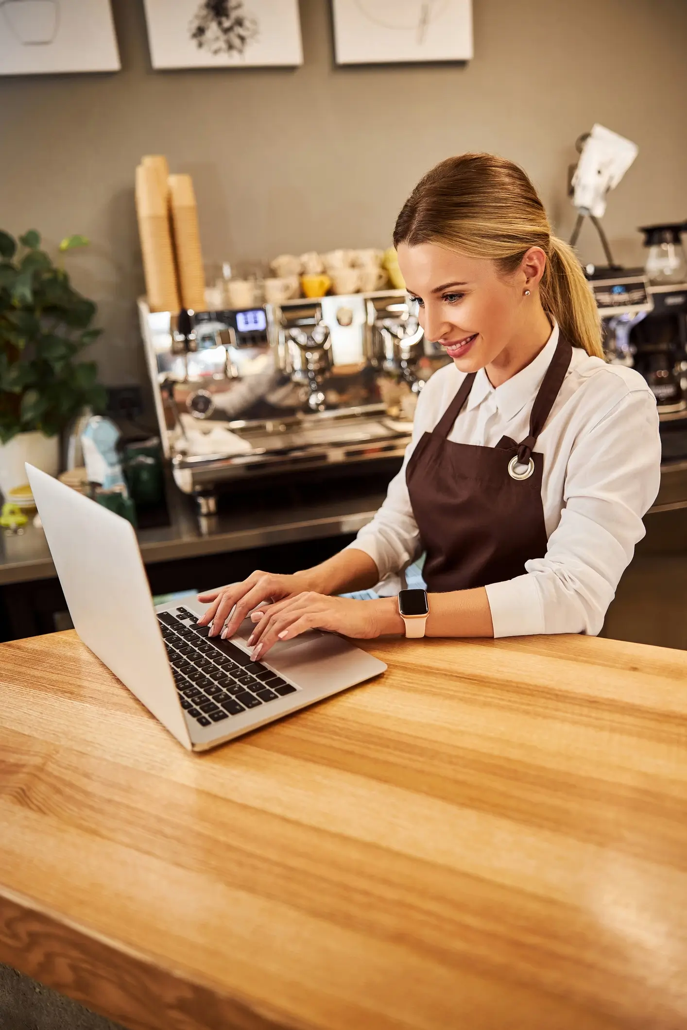 Barista viewing a laptop at work