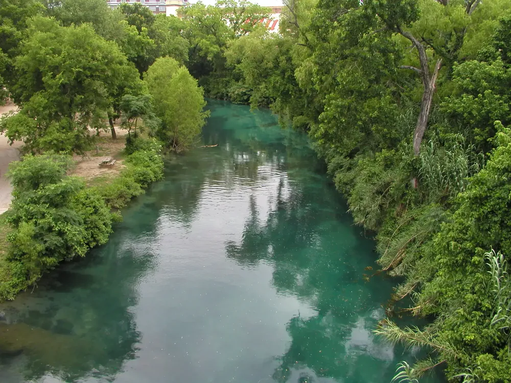 Comal river aerial view